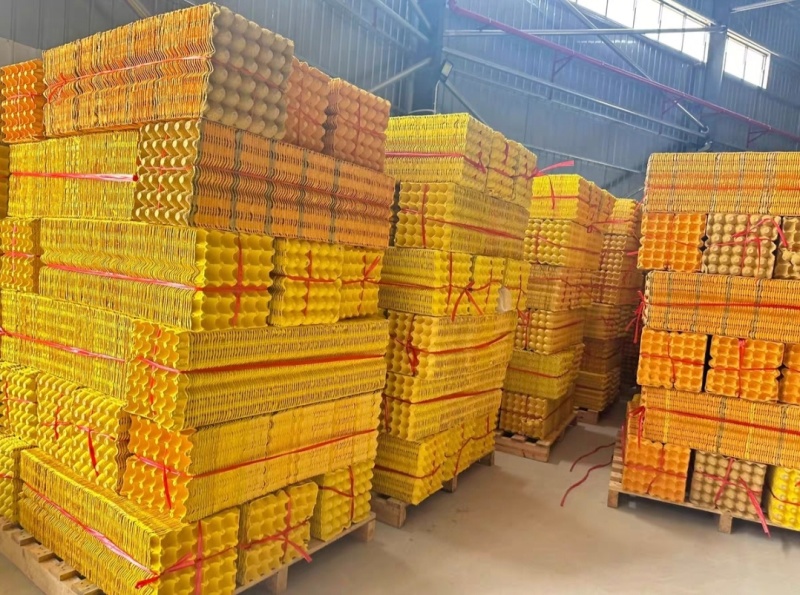 广东大量出售鸡蛋托