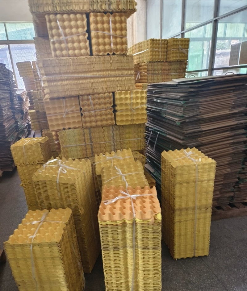 广东大量出售鸡蛋托