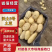 云南土豆盈江沃土5号土豆现挖现发量大从优