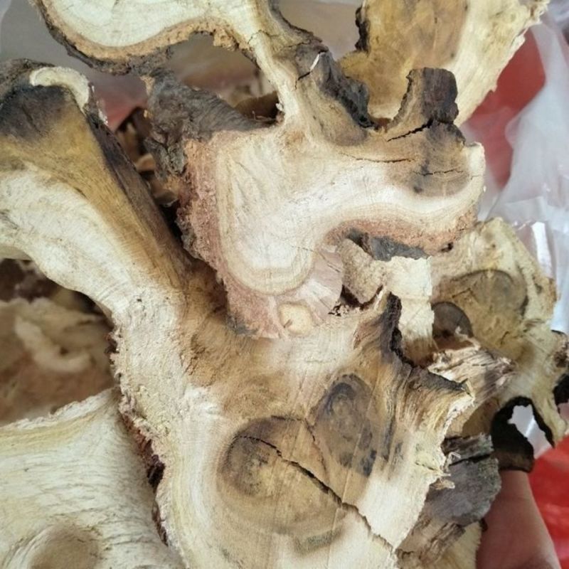 中药材老桑头1公斤老桑树根老桑树头桑树根