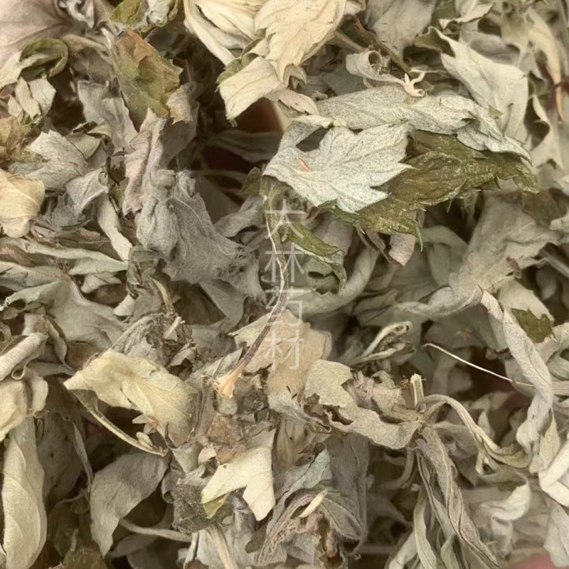 艾叶【包邮】三斤起发货可批量可零售量大从优
