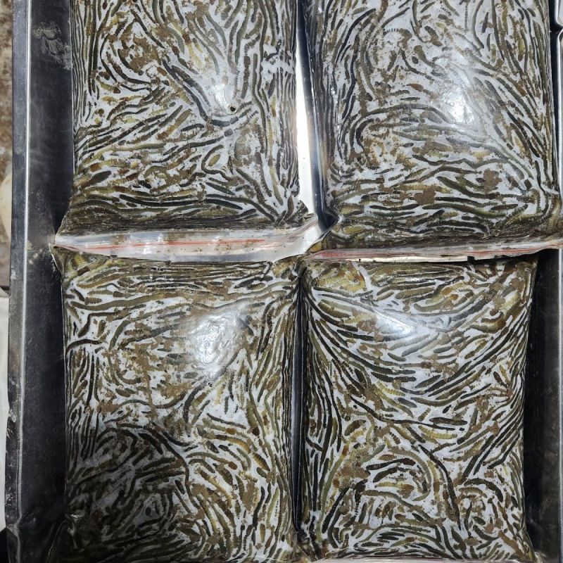 湖北冰蚯蚓速冻青蚯蚓冰冻黑蚯蚓一手货源对接电商