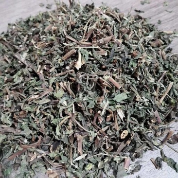墨旱莲旱莲草中药材无硫新鲜野生生晒旱莲草加女贞子