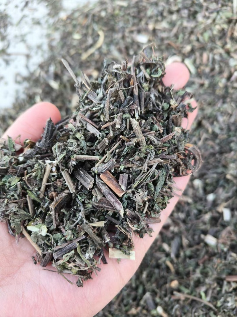 墨旱莲旱莲草中药材无硫新鲜野生生晒旱莲草加女贞子