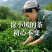 安康富硒茶徐小鳯的茶直供手工采摘海拔高金沙土干净
