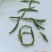 安康富硒茶徐小鳯的茶直供手工采摘海拔高金沙土干净