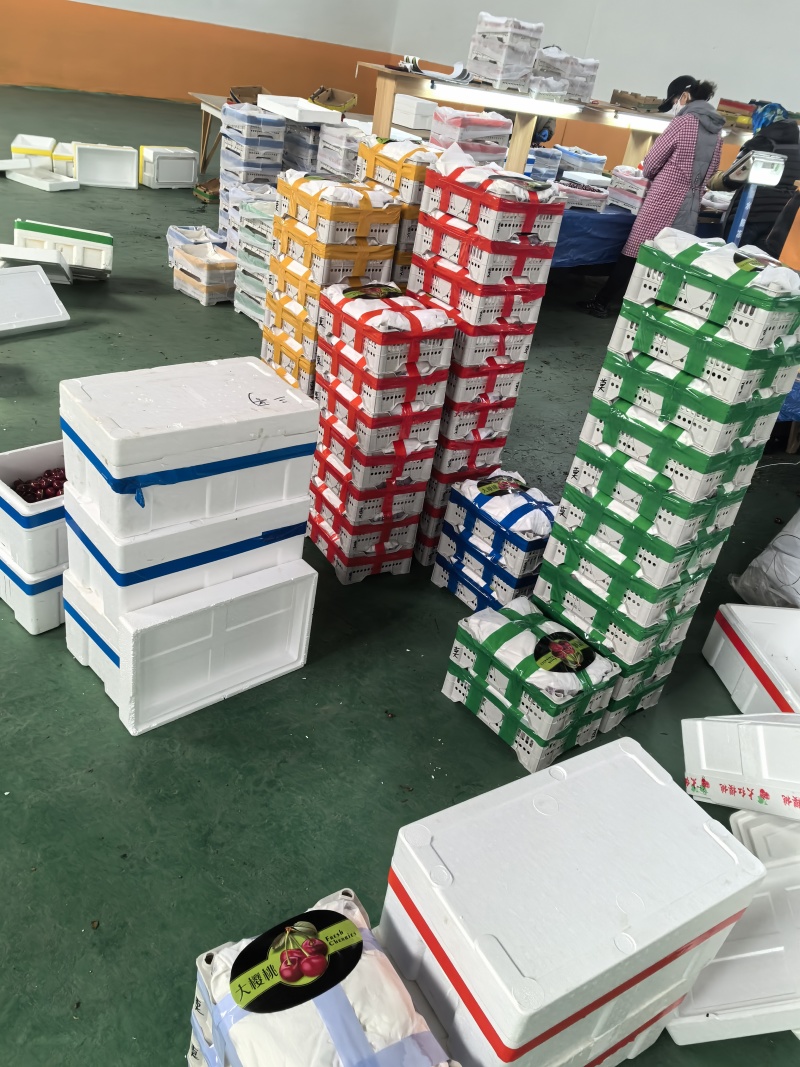 大连萨米脱大樱桃，可一件代发，对接电商商超等，量大从