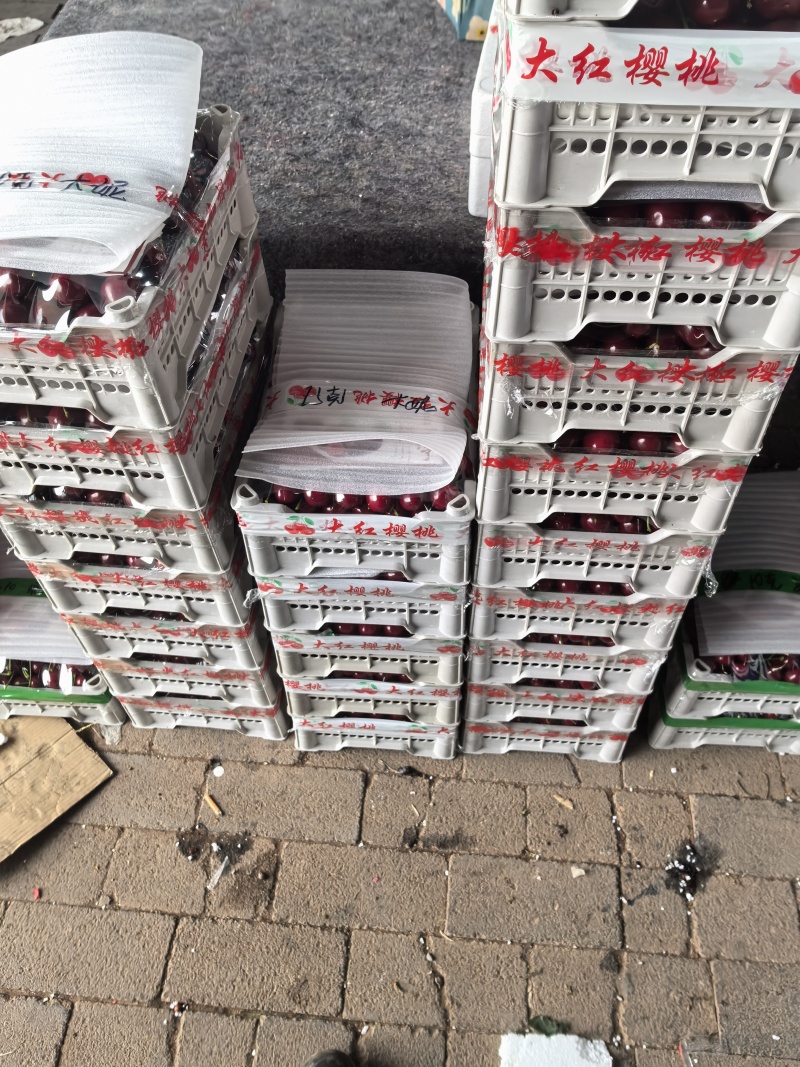 大连萨米脱大樱桃，可一件代发，对接电商商超等，量大从