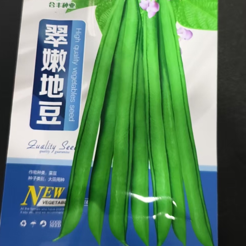 不搭架豆角种子-早熟丰产肉厚质脆分枝力强品质好