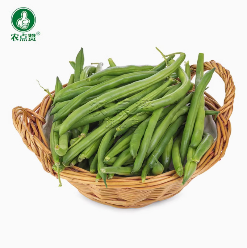 不搭架豆角种子-早熟丰产肉厚质脆分枝力强品质好