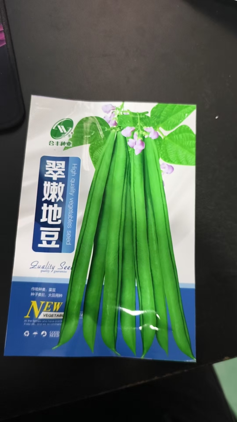 不搭架豆角种子-早熟丰产肉厚质脆分枝力强品质好