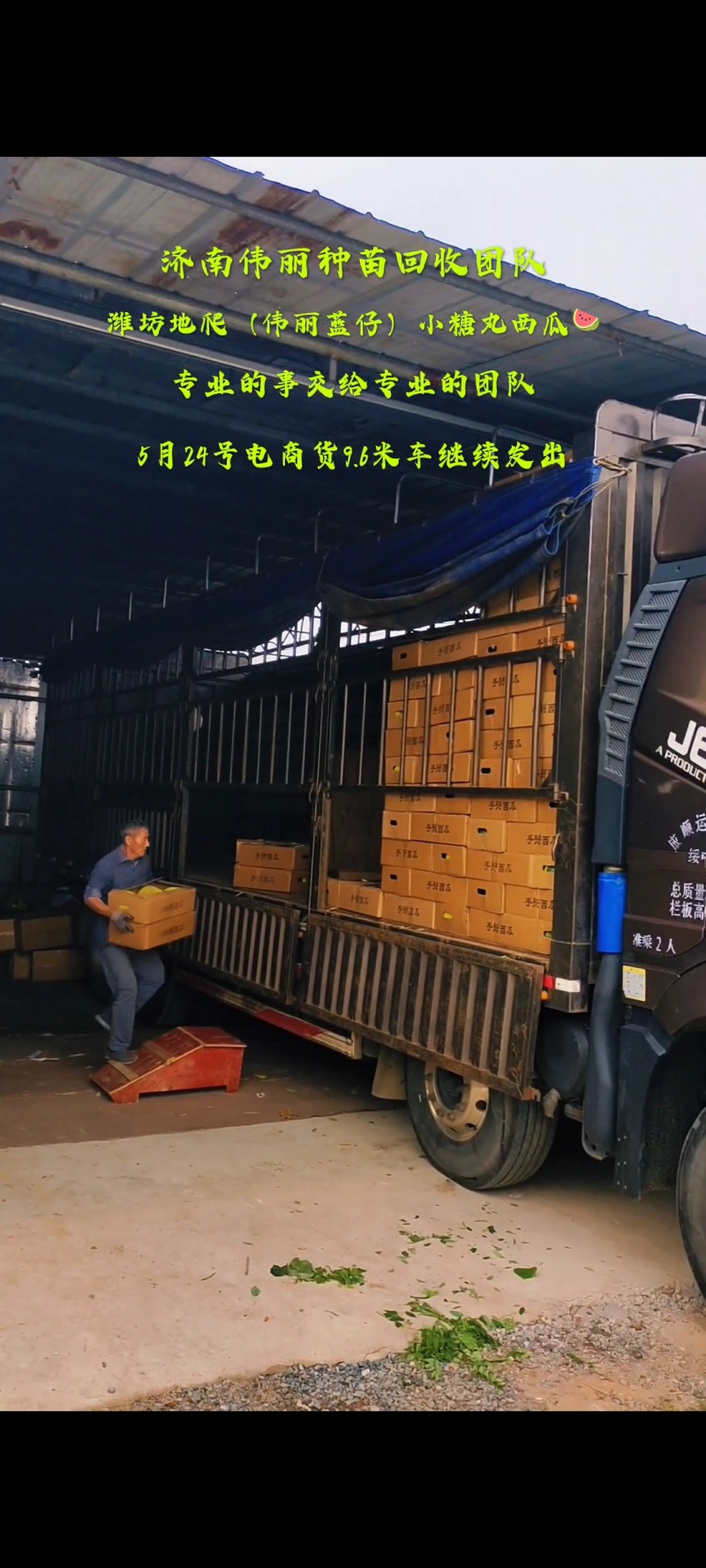 潍坊全美2K西瓜小糖丸西瓜手剥皮西瓜冰淇淋西瓜