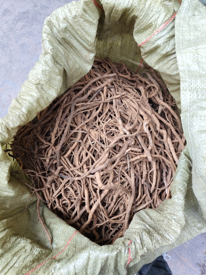 四川大通草根，基地直发，品质保证，规格齐全，欢迎咨询选购