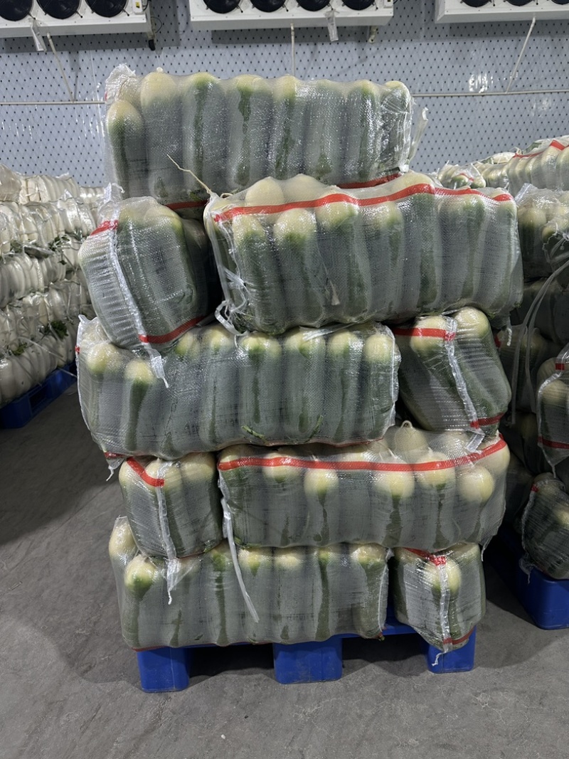 精品水果萝卜