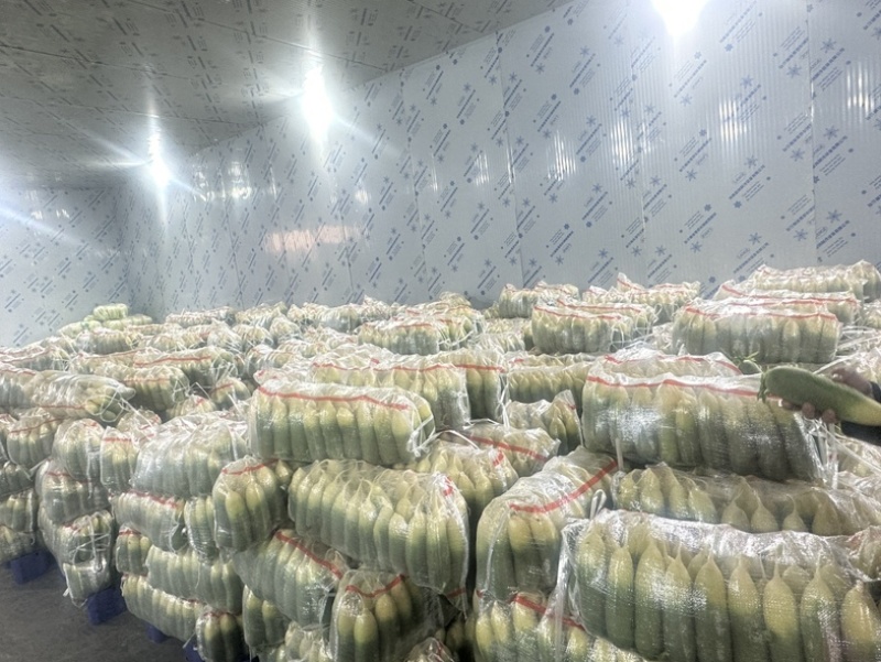 精品水果萝卜