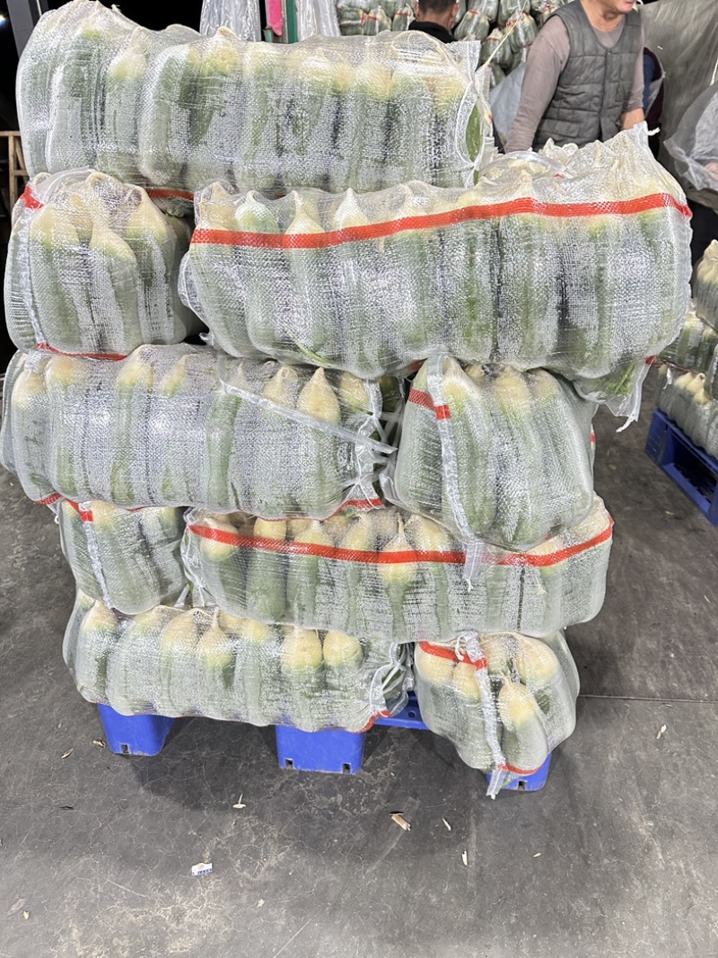 精品水果萝卜