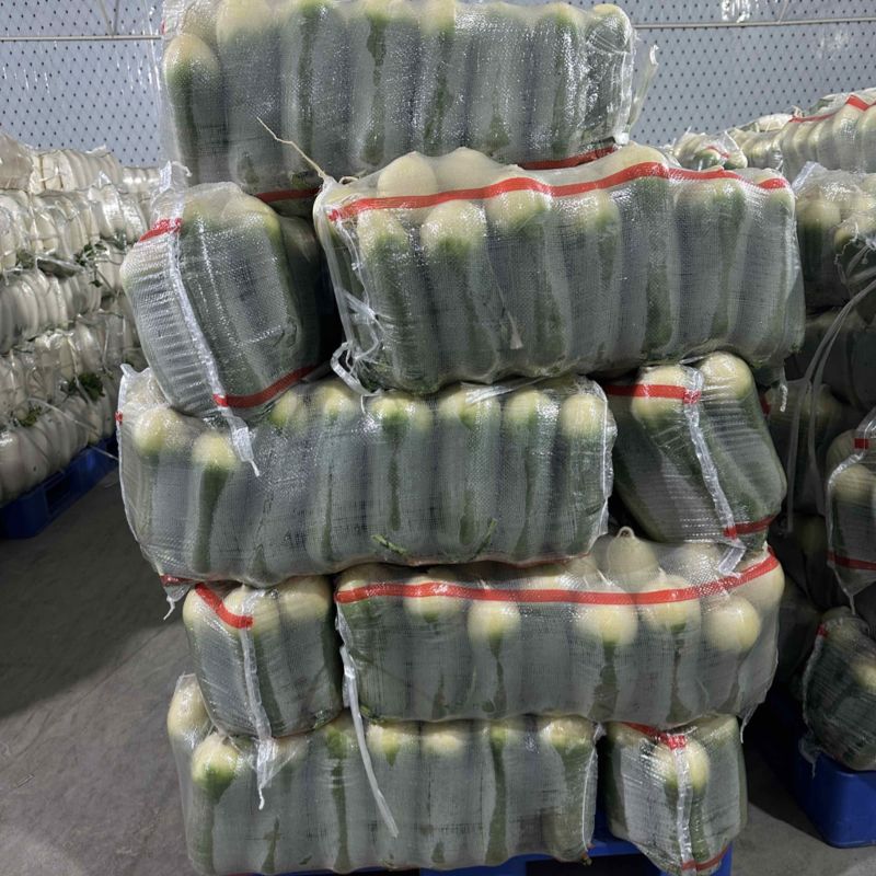 精品水果萝卜