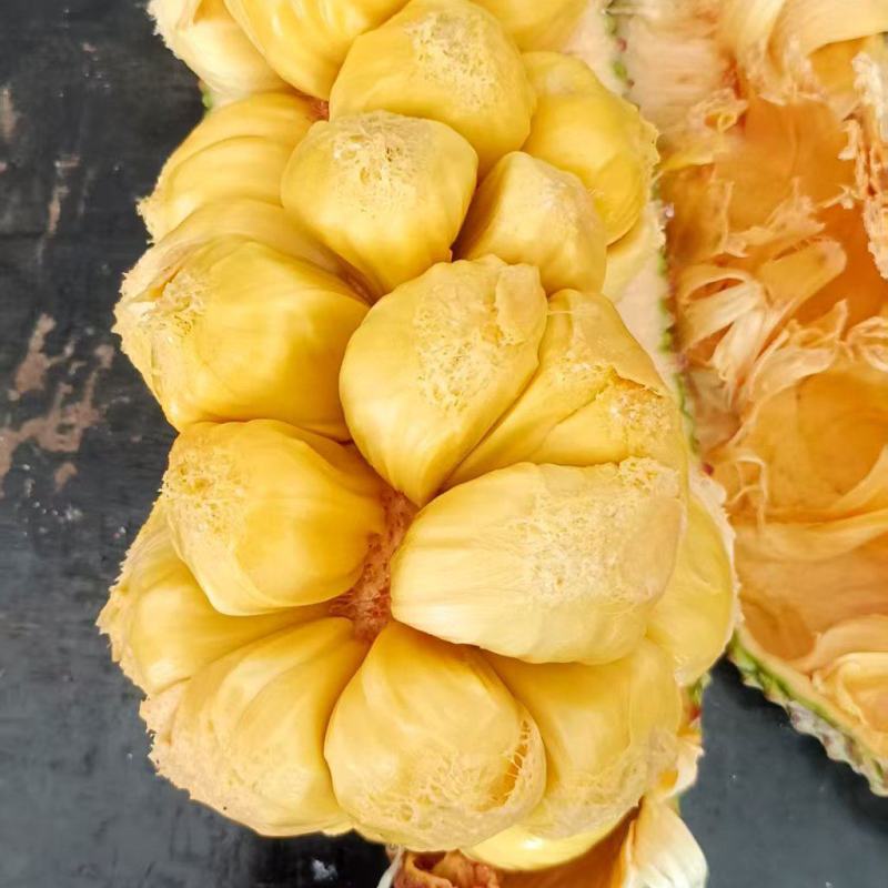 【实力推荐】海南菠萝蜜产地直发/常年供应/视频看货/