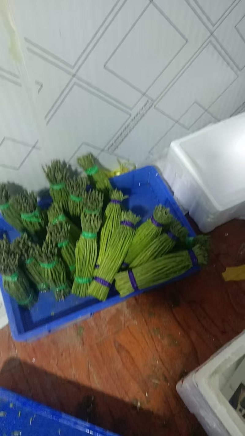 基地直供绿芦笋，扩大量多支持电商商超各类渠道供货，可视频看货