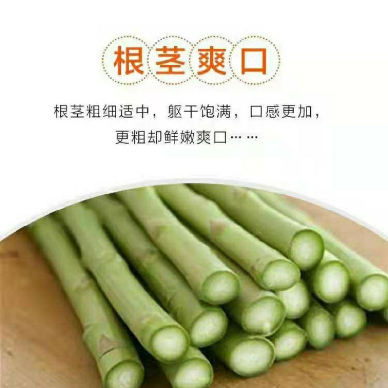 基地直供绿芦笋，扩大量多支持电商商超各类渠道供货，可视频看货