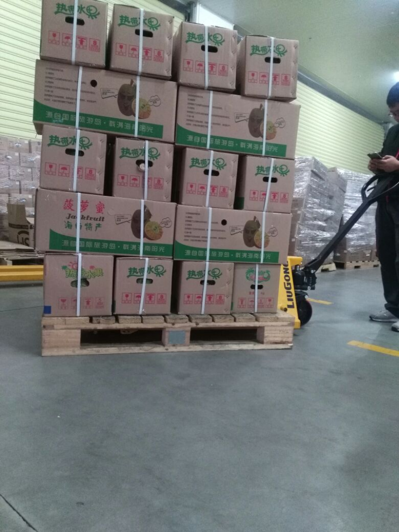 【实力推荐】海南菠萝蜜产地直发/常年供应/视频看货/