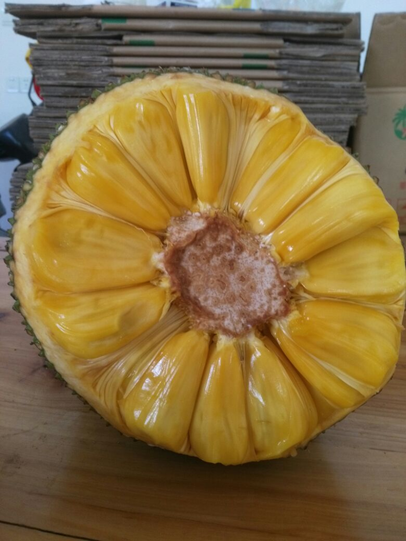 【实力推荐】海南菠萝蜜产地直发/常年供应/视频看货/
