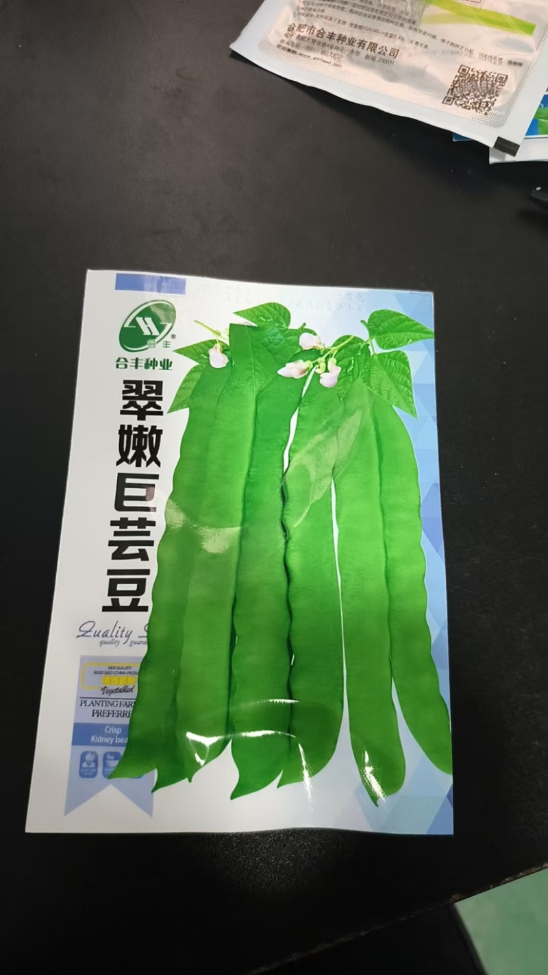芸豆种子-无纤维肉厚脆嫩豆荚嫩肥大肉厚早熟抗病