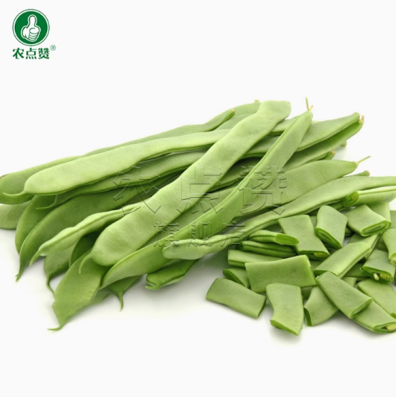 芸豆种子-无纤维肉厚脆嫩豆荚嫩肥大肉厚早熟抗病
