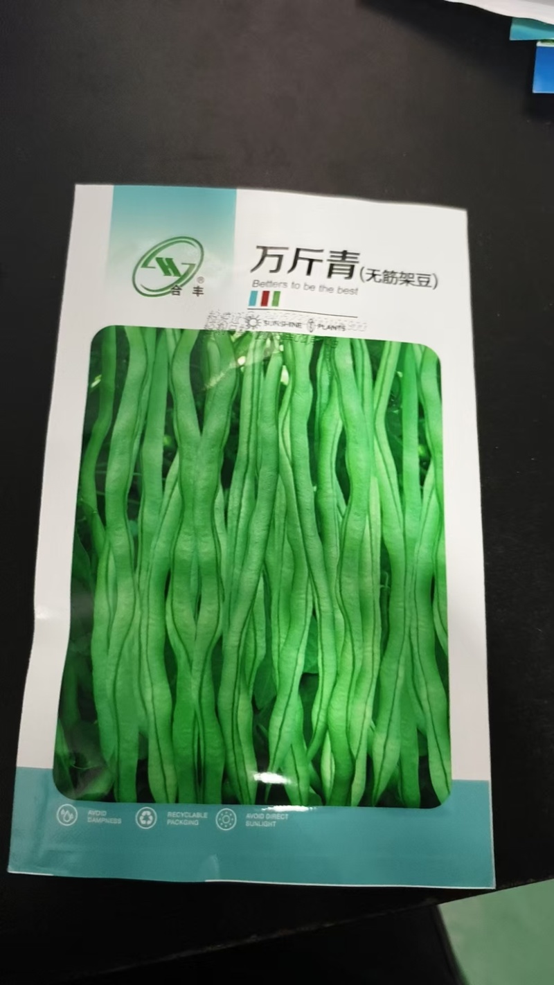 芸豆种子-无纤维肉厚脆嫩豆荚嫩肥大肉厚早熟抗病