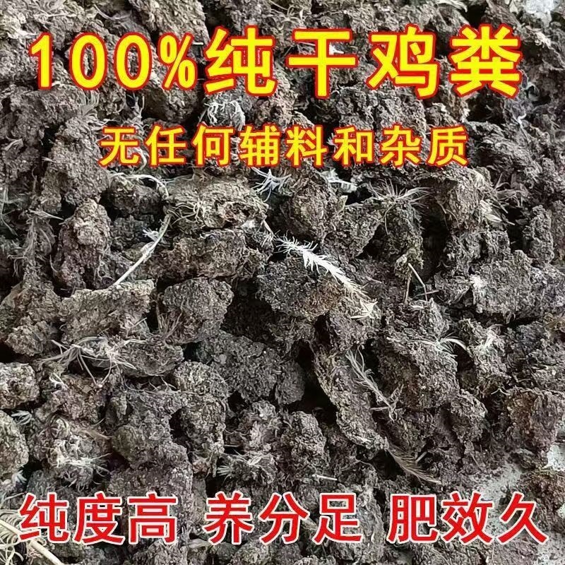 发酵肉食鸡粪，干鸡粪，鸡粪块，晒干鸡粪，风干鸡粪