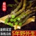 正宗云南铁皮石斛鲜条新鲜石斛超胖条石斛中药材枫斗鲜条批发