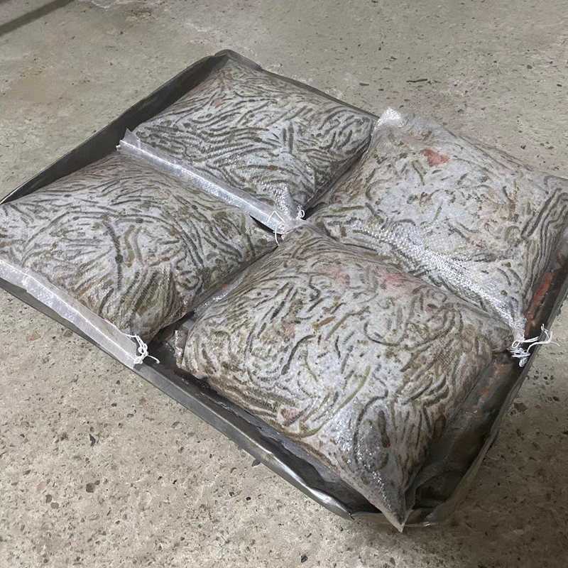 湖北一手货源冰蚯蚓速冻青蚯蚓养黄鳝黑蚯蚓特大臭蚯蚓