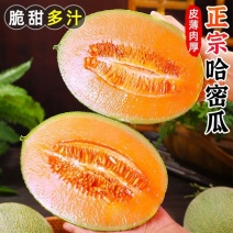 正宗海南哈密瓜新鲜水果当季热带应季水果精品晓密网纹瓜脆甜