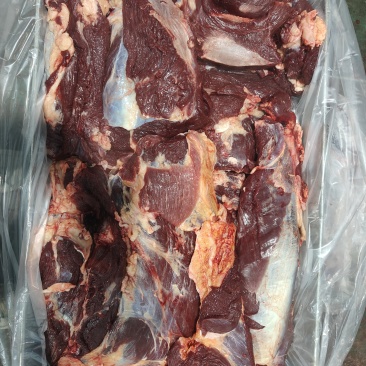 内蒙纯干牛肉黄膘牛肉出成高牛前牛后牛肋条牛肚腩护心肉牛排