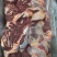 内蒙纯干牛肉黄膘牛肉出成高牛前牛后牛肋条牛肚腩护心肉牛排