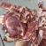 内蒙纯干牛肉黄膘牛肉出成高牛前牛后牛肋条牛肚腩护心肉牛排