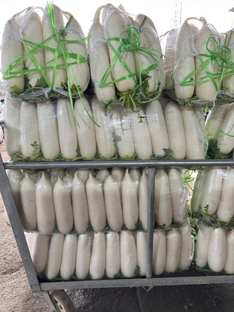 精品白萝卜散装袋装均可支持
