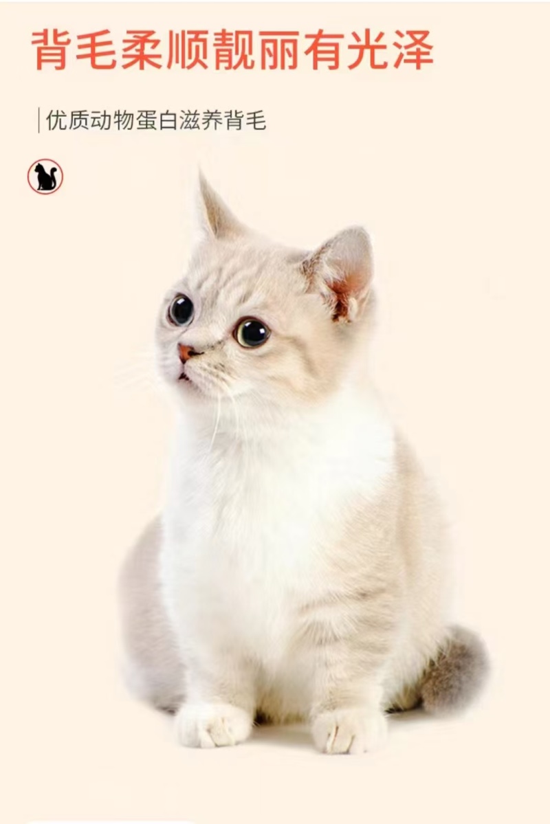 猫粮工厂批发全价猫粮背毛柔顺靓丽光泽支持电商