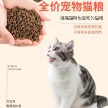 猫粮工厂批发全价猫粮背毛柔顺靓丽光泽支持电商