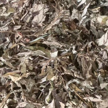 艾叶【包邮】三斤起发货可批量可零售量大从优
