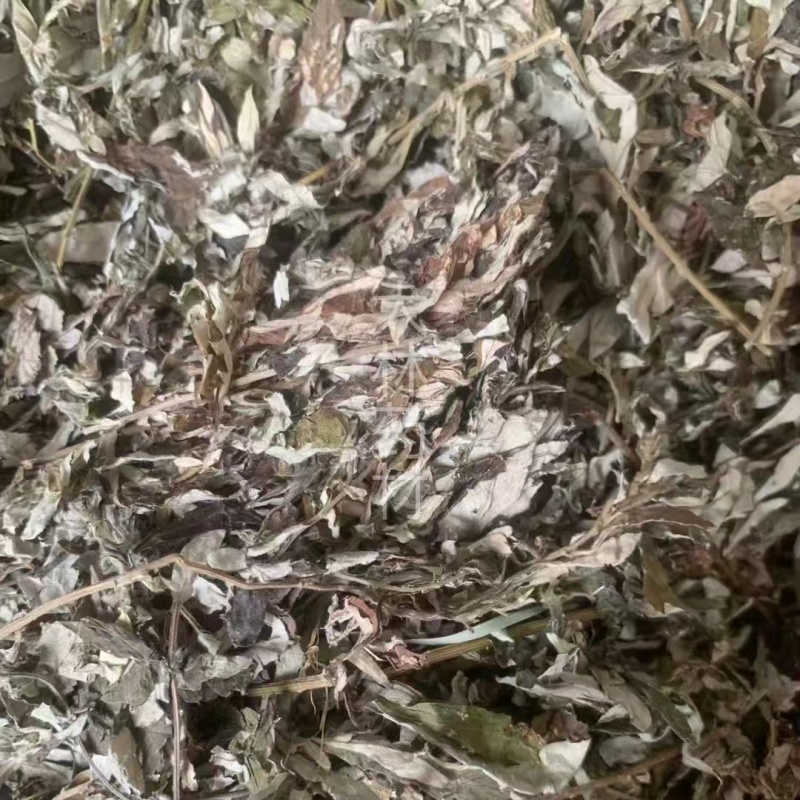 艾叶【包邮】三斤起发货可批量可零售量大从优