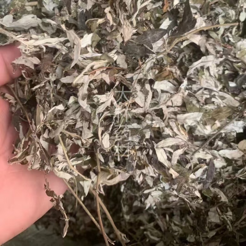 艾叶【包邮】三斤起发货可批量可零售量大从优