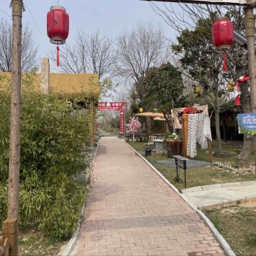 30亩大樱桃果园出租