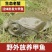 汉寿苗子甲鱼公母都有，品质好价格低，欢迎全国来电包邮