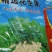 花生果，花育20