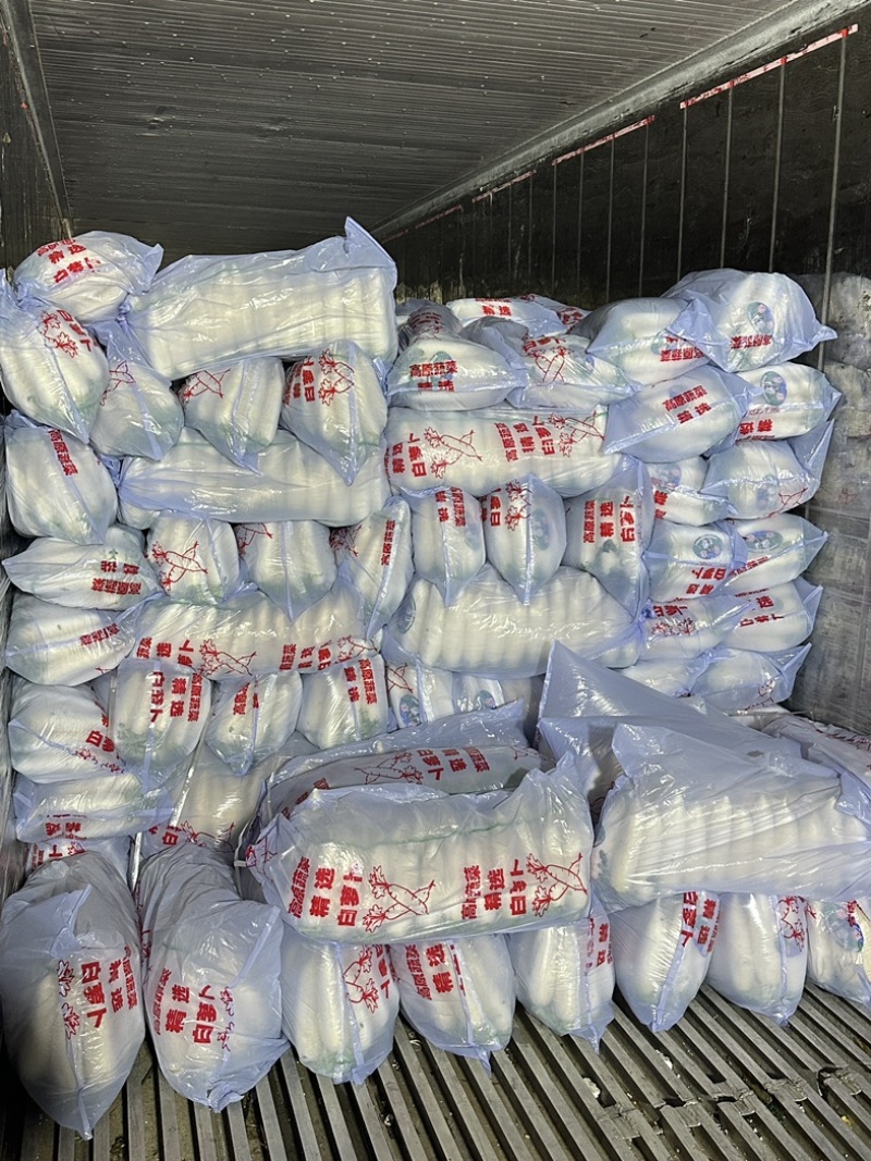 精品白萝卜货源稳定支持线上交易可视频看货