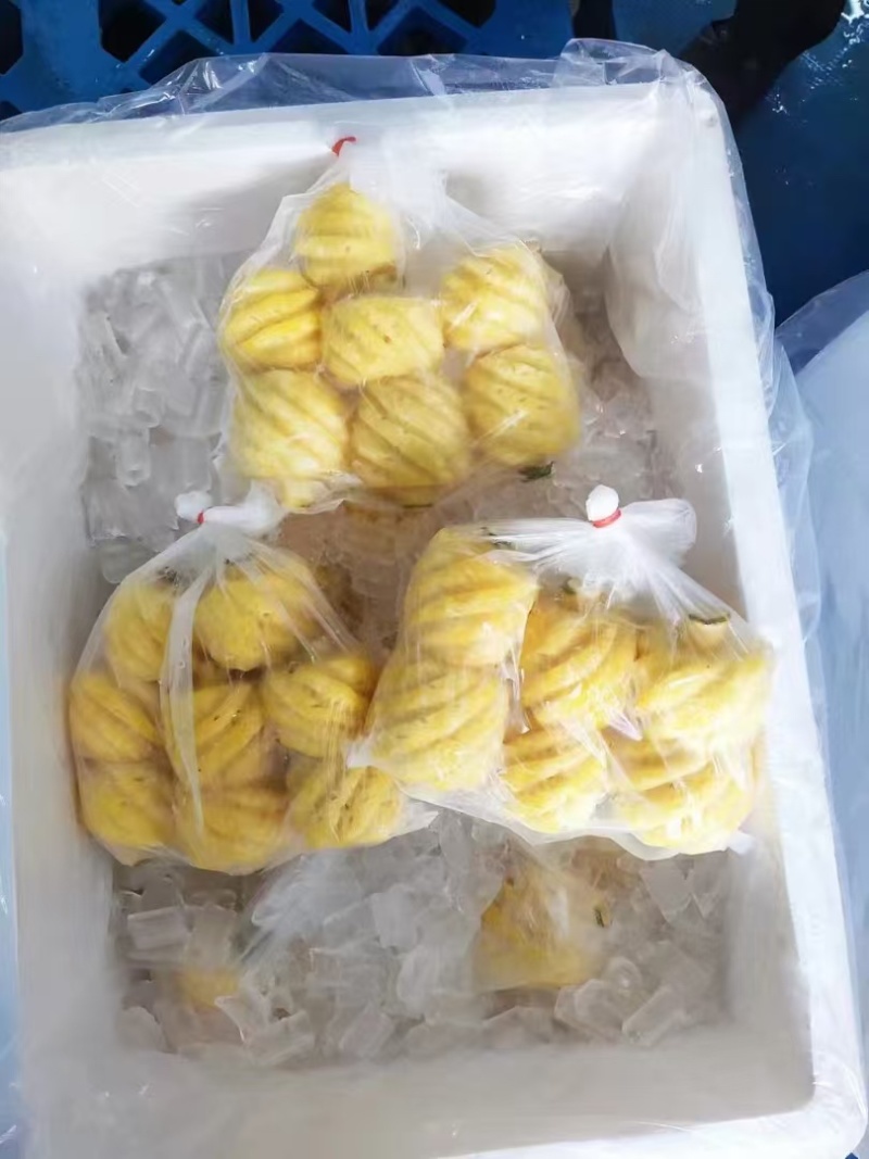 徐闻去皮小菠萝，泰国小菠萝，香水小菠萝，小菠萝