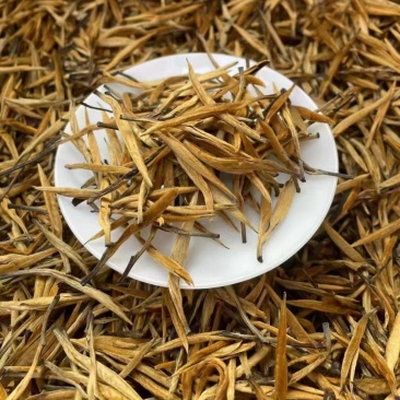 云南大金针精品红茶口感醇厚全国供应对接各大商超