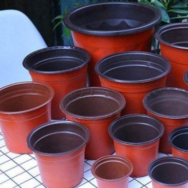 推荐双色盆规格齐全量大从优一次性塑料花盆培育盆