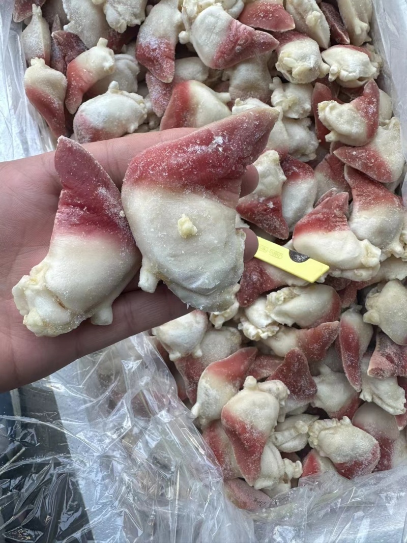北极贝，适合日料刺身
